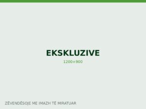 Dokumente që flasin: Si u devijuan fondet në një institucion lokal